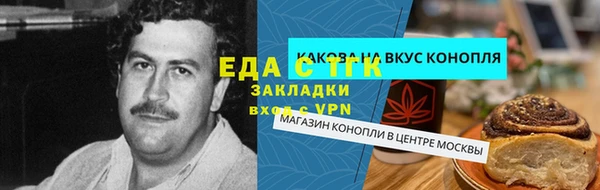 стаф Новокубанск