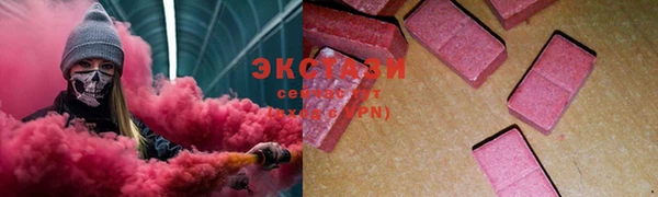 стаф Новокубанск