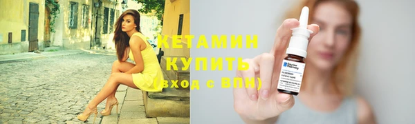 стаф Новокубанск