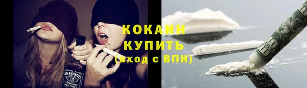 стаф Новокубанск