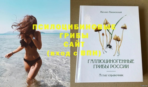 не бодяженный Новозыбков