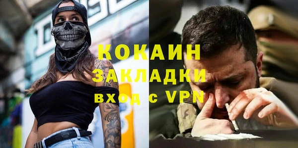 стаф Новокубанск
